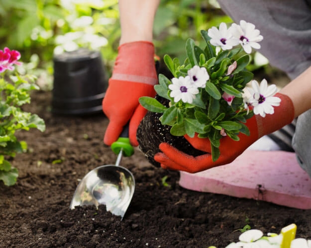 From the lake to your garden